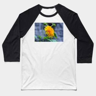 Yellow Dahlia Baseball T-Shirt